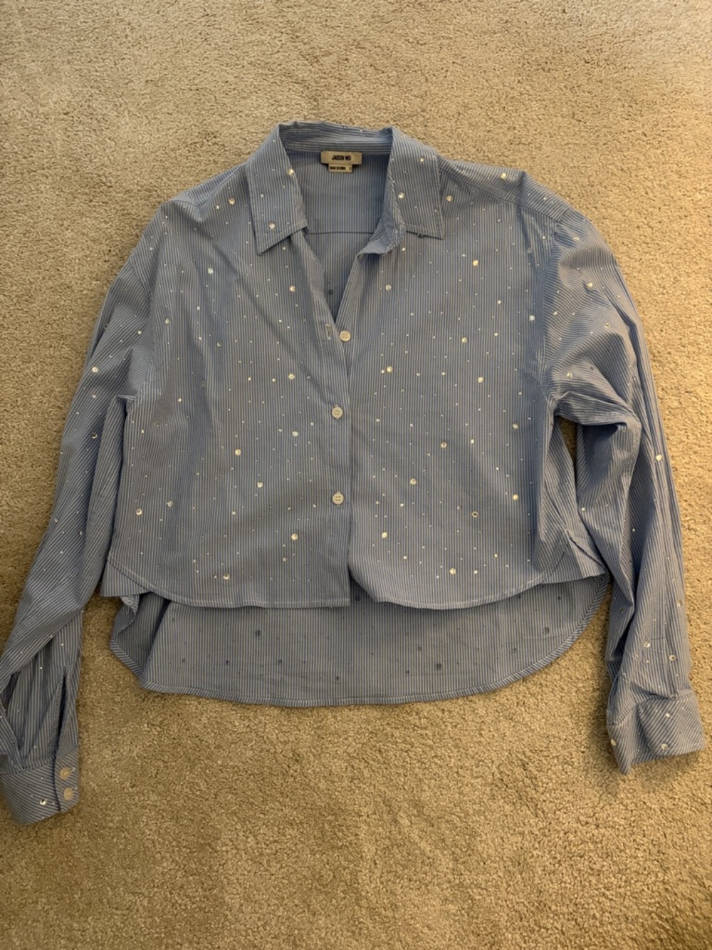 Jason Wu Pinstripe Button-Down Shirt with rhinestone embellishment